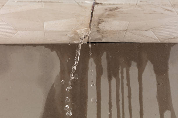 Professional Burst Pipe Cleanup technician working in White Hall, MD